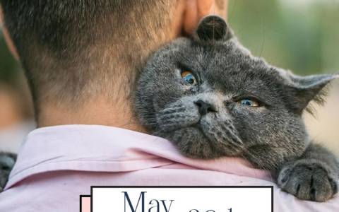 Hug Your Cat Day